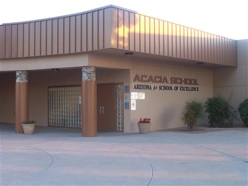 front of acacia